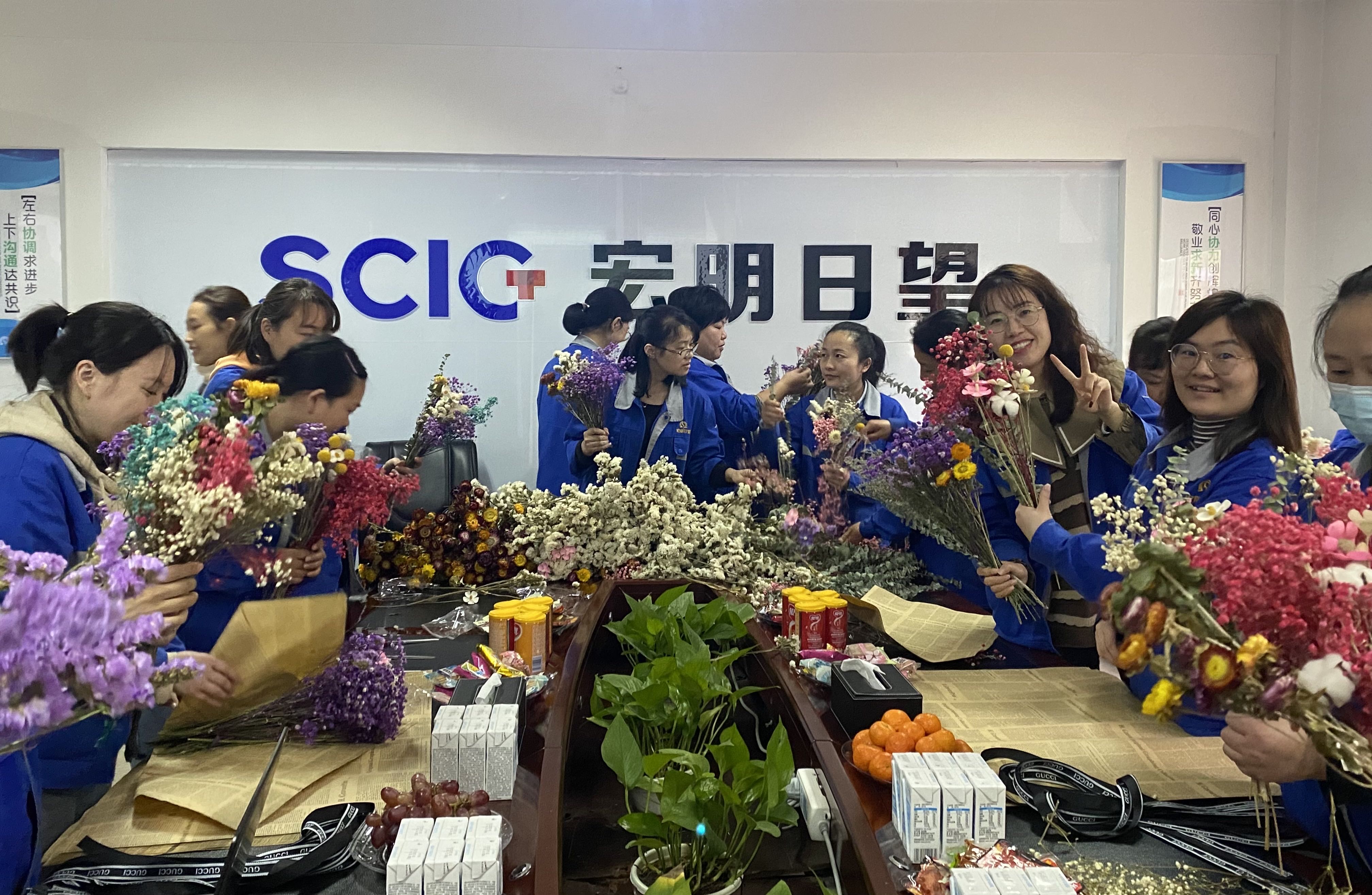 天行中国手机网页版,宏明日望,株洲电子科技,湖南电容器,株洲电容器,电容器